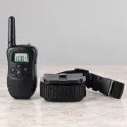 Пульт і приймач Dog Training на нейтральній поверхні